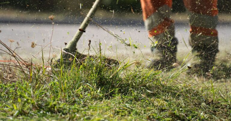 corte de grama em Campina Grande
