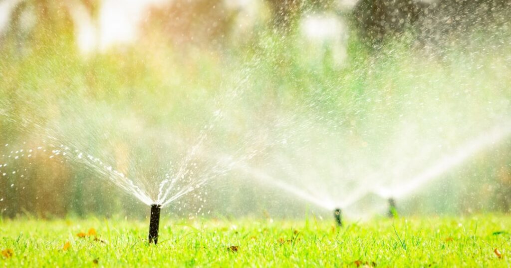 sistema de irrigação em Campina Grande